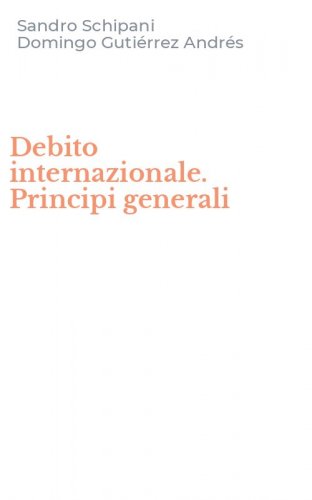 Debito internazionale. Principi generali