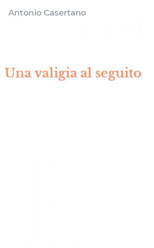 Una valigia al seguito