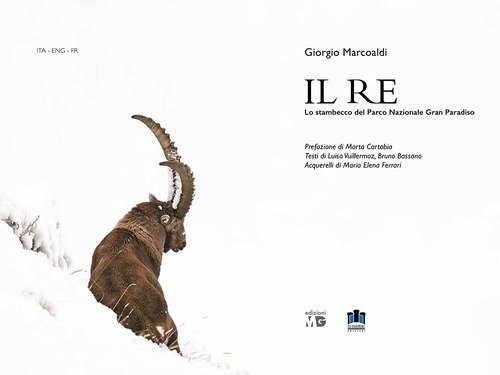 Il Re. Lo stambecco del Parco Nazionale Gran Paradiso