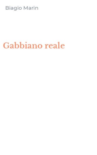 Gabbiano reale