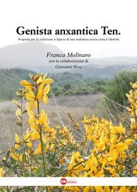 Genista anxantica Ten. Proposta per la rielezione a specie di una endemica senza carta d'identit&agrave;