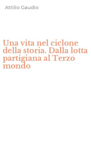 Una vita nel ciclone della storia. Dalla lotta partigiana al Terzo mondo