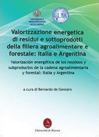 Valorizzazione energetica di residui e sottoprodotti della filiera agroalimentare e forestale: Italia e Argentina