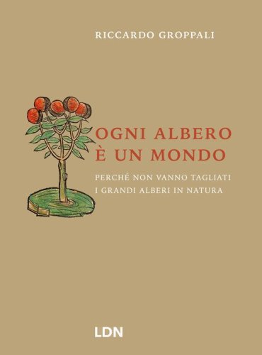 Ogni albero &egrave; un mondo. Perch&eacute; non vanno tagliati i grandi alberi in natura