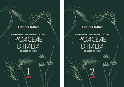 Poaceae d'Italia. Graminacee della flora italiana-Grasses of Italy