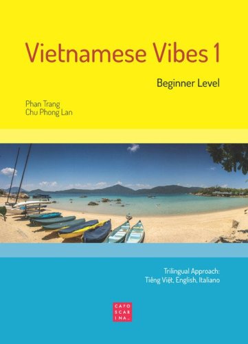 Vietnamese Vibes 1. Beginner level
