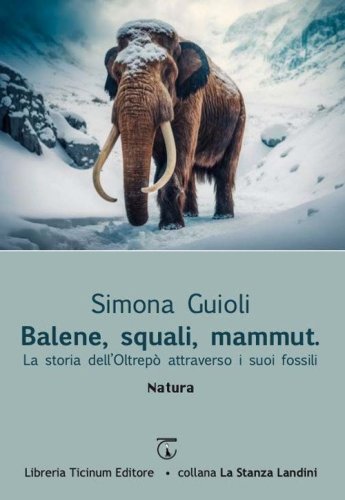 Balene, squali, mammut. La storia dell'Oltrep&ograve; attraverso i suoi fossili
