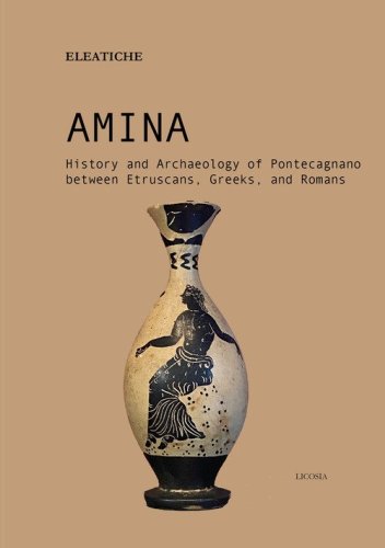 Amina. History and archaeology of Pontecagnano between etruscans, greeks, and romans