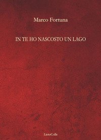 In te ho nascosto un lago