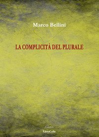 La complicit&agrave; del plurale