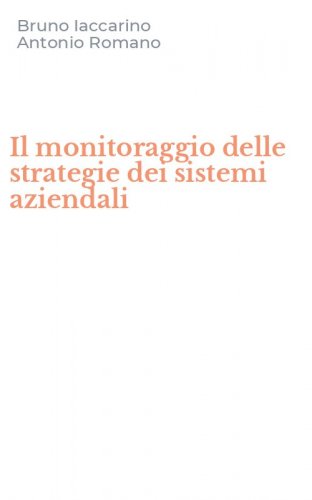 Il monitoraggio delle strategie dei sistemi aziendali