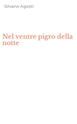 Nel ventre pigro della notte