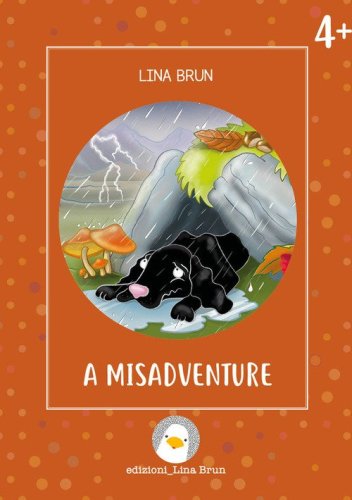 A misadventure