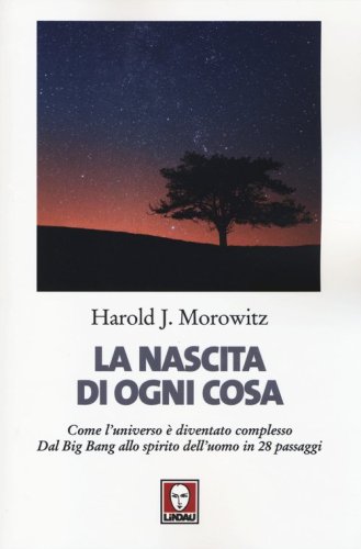 La nascita di ogni cosa. Come l'universo &egrave; diventato complesso. Dal Big Bang allo spirito dell'uomo in 28 passaggi