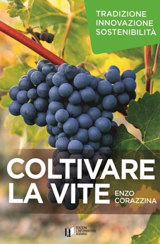Coltivare la vite. Tradizione, innovazione, sostenibilit&agrave;