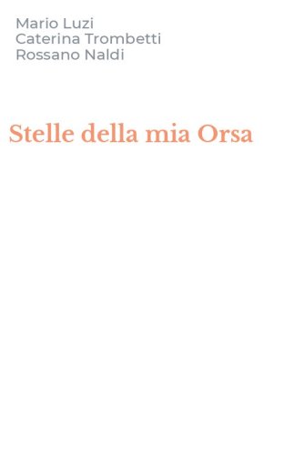 Stelle della mia Orsa