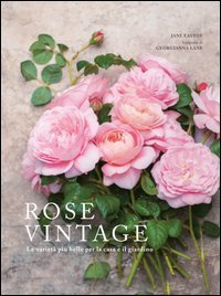 Rose vintage. Le variet&agrave; pi&ugrave; belle per la casa e il giardino