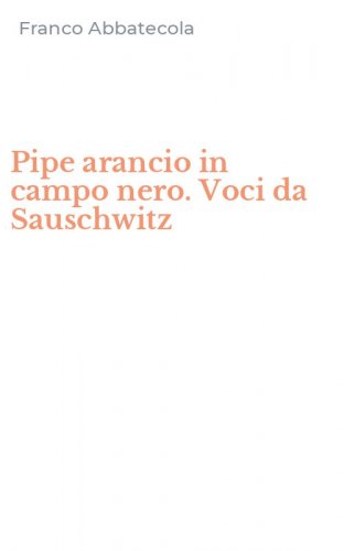 Pipe arancio in campo nero. Voci da Sauschwitz