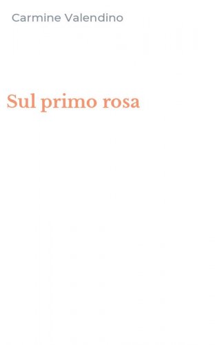 Sul primo rosa
