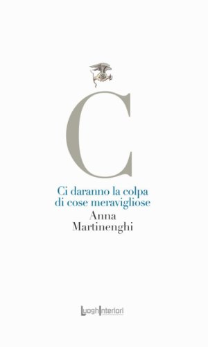 Ci daranno la colpa di cose meravigliose