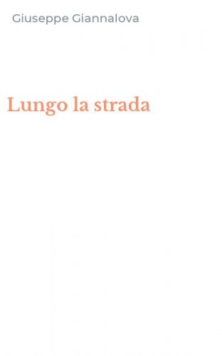 Lungo la strada