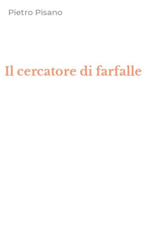 Il cercatore di farfalle