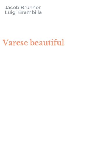 Varese beautiful
