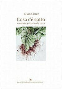 Cosa c'&egrave; sotto. Considerazioni sulla terra