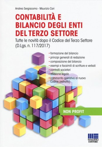 Contabilit&agrave; e bilancio degli enti del terzo settore