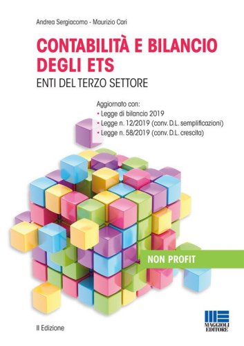 Contabilit&agrave; e bilancio degli enti del terzo settore