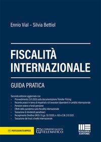 Fiscalit&agrave; internazionale. Guida pratica