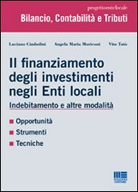 Il finanziamento degli investimenti negli enti locali. Indebitamento e altre modalit&agrave;