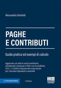 Paghe e contributi. Guida pratica ed esempi di calcolo