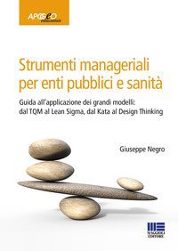 Strumenti manageriali per enti pubblici e sanit&agrave;
