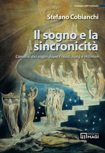 Il sogno e la sincronicit&agrave;. L'analisi dei sogni dopo Freud, Jung e Hillman