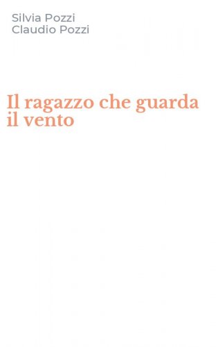 Il ragazzo che guarda il vento