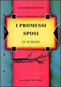 PROMESSI SPOSI IN SCHEDE. VERIFICHE, APPROFONDIMENTI, RIEPILOGHI, DIVERSI STRUME - STRUMENTI DIDATTICI. PER LE SCUOLE SUPERIORI