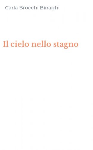 Il cielo nello stagno