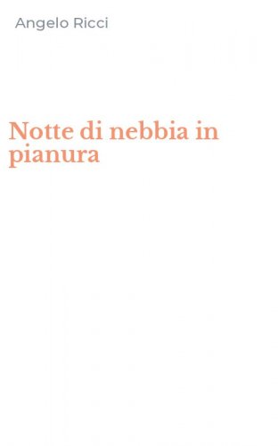 Notte di nebbia in pianura