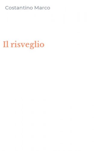 Il risveglio