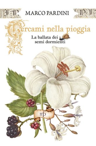 Cercami nella pioggia. La ballata dei semi dormienti