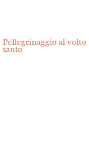 Pellegrinaggio al volto santo