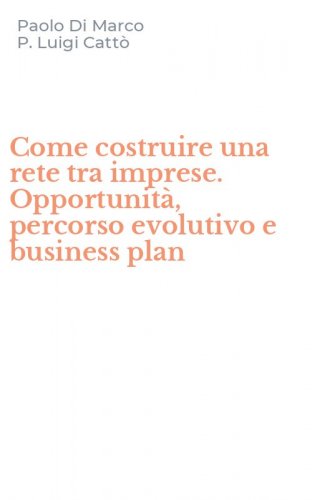 Come costruire una rete tra imprese. Opportunit&agrave;, percorso evolutivo e business plan