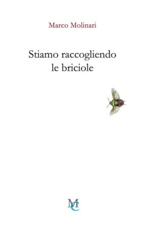Stiamo raccogliendo le briciole