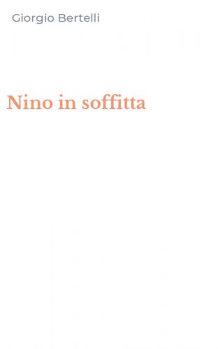 Nino in soffitta