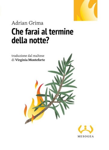 Che farai al termine della notte?