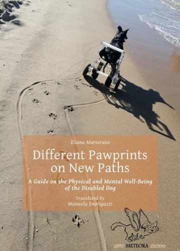 Different pawprints on new paths. A guide on the physical and mental well-being of the disabled dog
