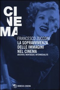 La sopravvivenza delle immagini nel cinema. Archivio, montaggio, intermedialit&agrave;
