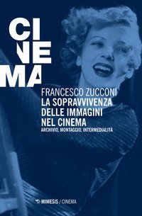 La sopravvivenza delle immagini nel cinema. Archivio, montaggio, intermedialit&agrave;