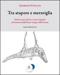 Tra stupore e meraviglia. Guida un po' pratica e un po' sognante al santuario della beata Vergine delle Grazie